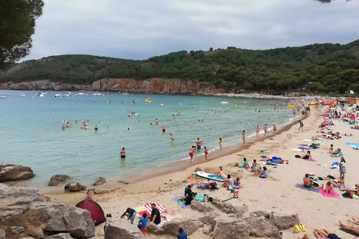 Una platja amb sorra daurada i aigües cristal·lines, envoltada de turons verds i penya-segats rocosos, amb moltes persones gaudint del mar i prenent el sol a la vora.