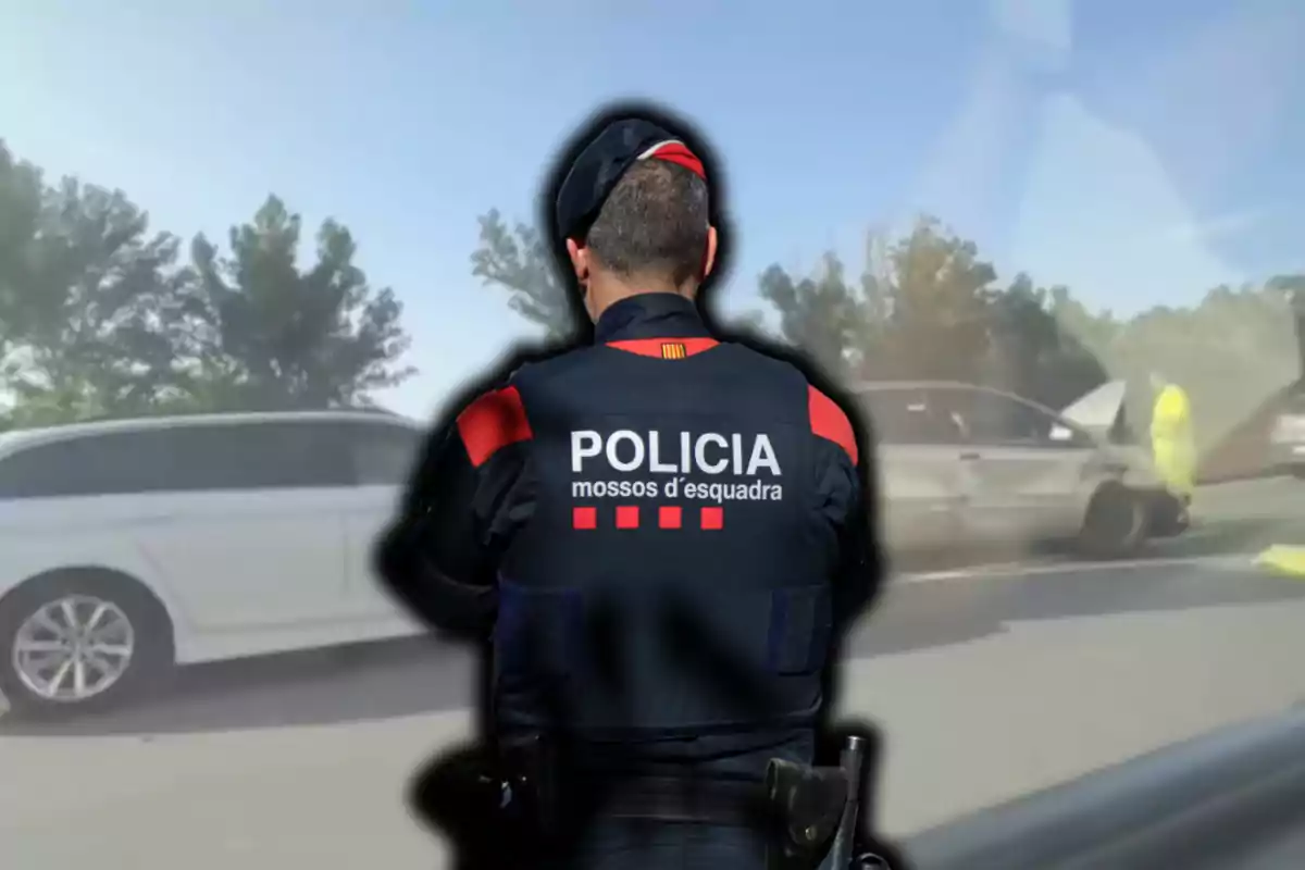 Un agent dels Mossos d'Esquadra d'esquena observa l'escena d'un accident de trànsit en una carretera amb diversos vehicles implicats.