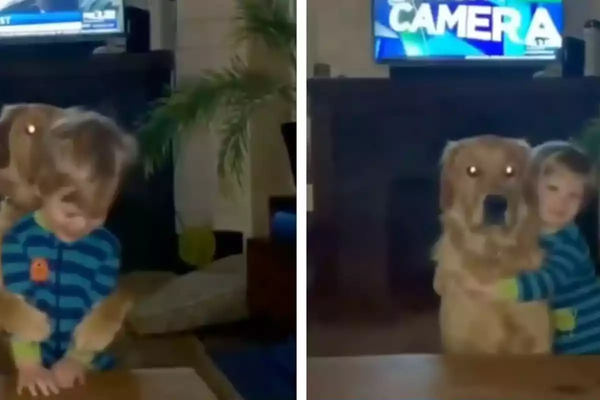 Un nen petit amb pijama de ratlles blaves abraça un gos golden retriever en una sala amb una televisió encesa al fons.