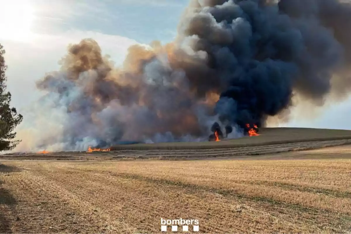 Incendi forestal en un camp sec amb grans columnes de fum negre i flames visibles a l’horitzó