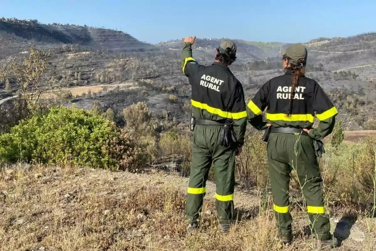 Dos agents rurals observen una zona de camp afectada per un incendi forestal