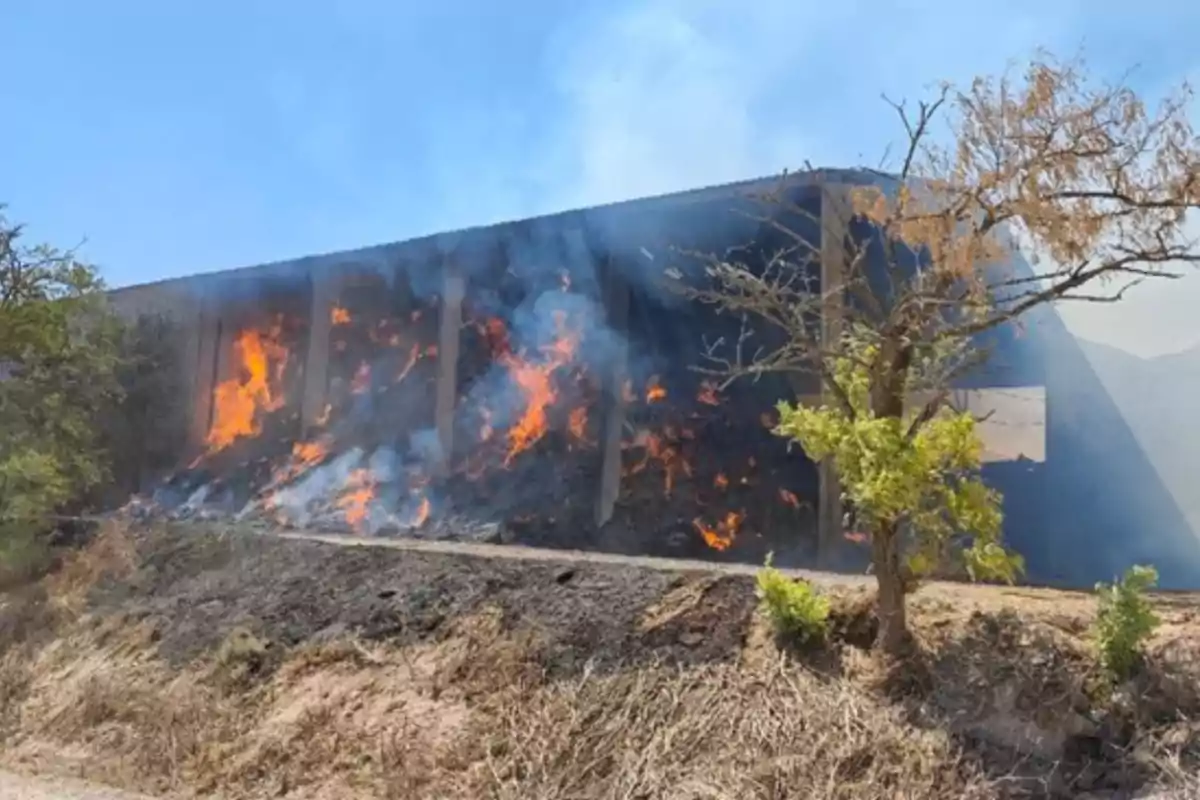 Incendi en una nau envoltada de vegetació seca i arbres sota un cel serè