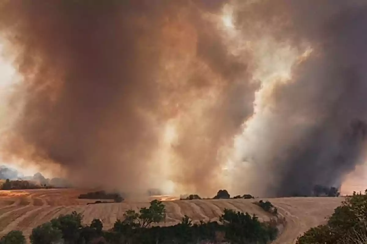 Incendi a Granyena de Segarra Incendi a Granyena de Segarra