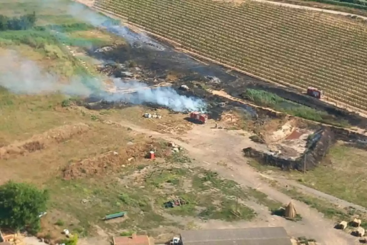 Incendi en un camp agrícola amb fum visible i dos camions de bombers treballant per controlar el foc a prop d’una vinya.