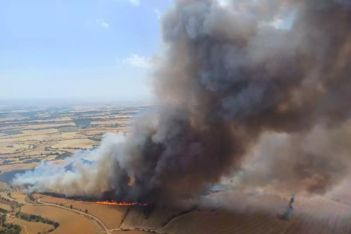 Incendi a Granyena de Segarra
