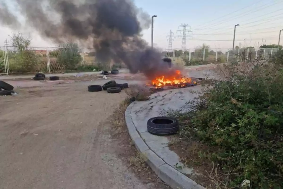 Pneumàtics encesos en un carrer desert amb fum negre que s’eleva i vegetació al voltant