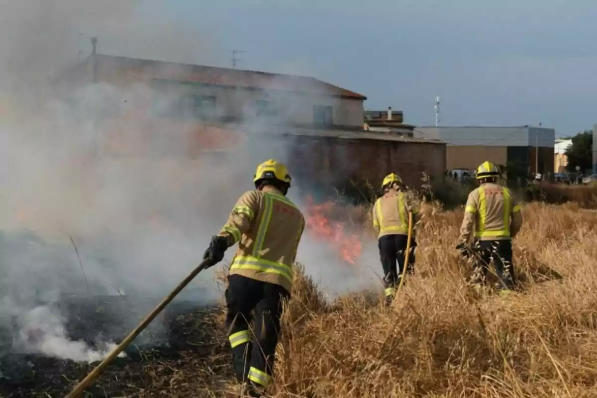 Tres bombers treballen per apagar un incendi en un camp d’herba seca a prop d’unes cases mentre el fum cobreix part de la zona.