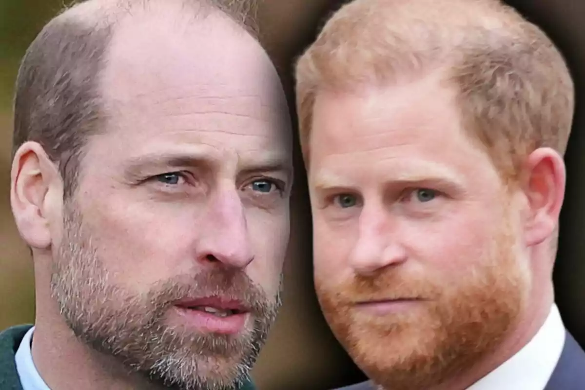 Close-up photo montage of Prince William and Prince Harry, both with serious expressions.