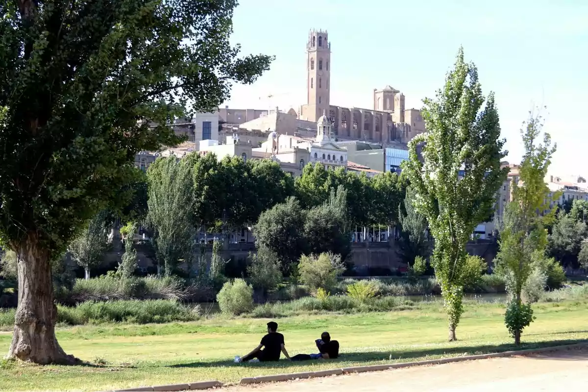 Dues persones descansen a la gespa d’un parc amb arbres i al fons s’observa una catedral antiga sobre un turó. Dues persones descansen a la gespa d’un parc amb arbres i al fons s’observa una catedral antiga sobre un turó.