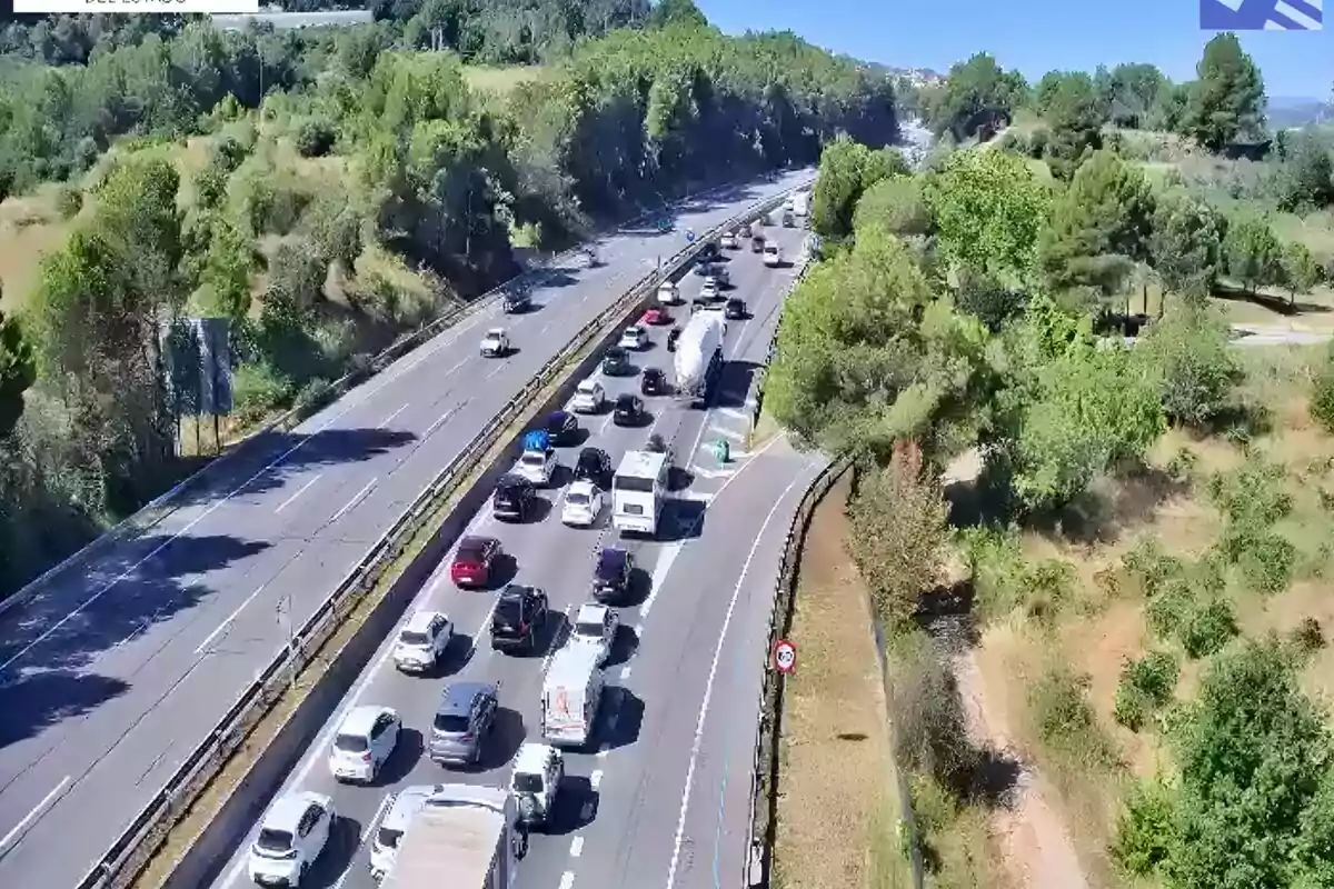 Tráfico denso en una autopista rodeada de árboles y vegetación en un día soleado