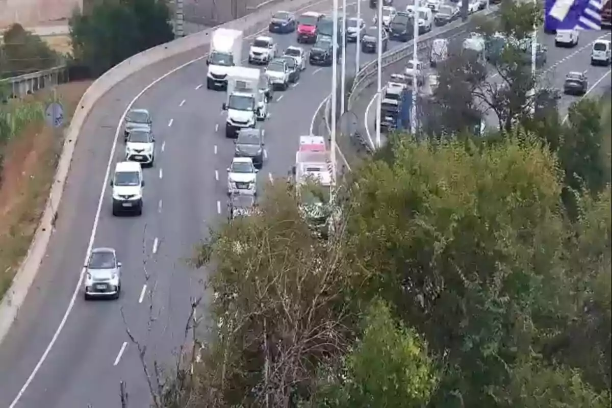 Trànsit moderat en una autopista amb diversos cotxes i furgonetes avançant per diferents carrils, arbres en primer pla i una ambulància entre els vehicles.