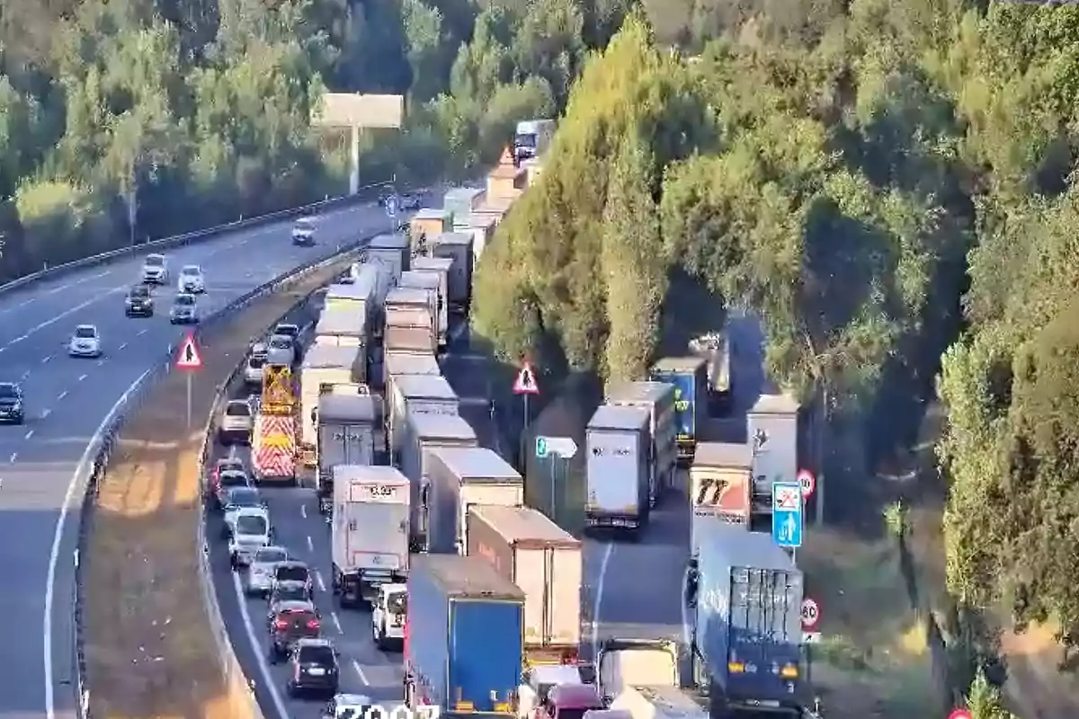 Tráfico denso con numerosos camiones y autos detenidos en una autopista rodeada de árboles