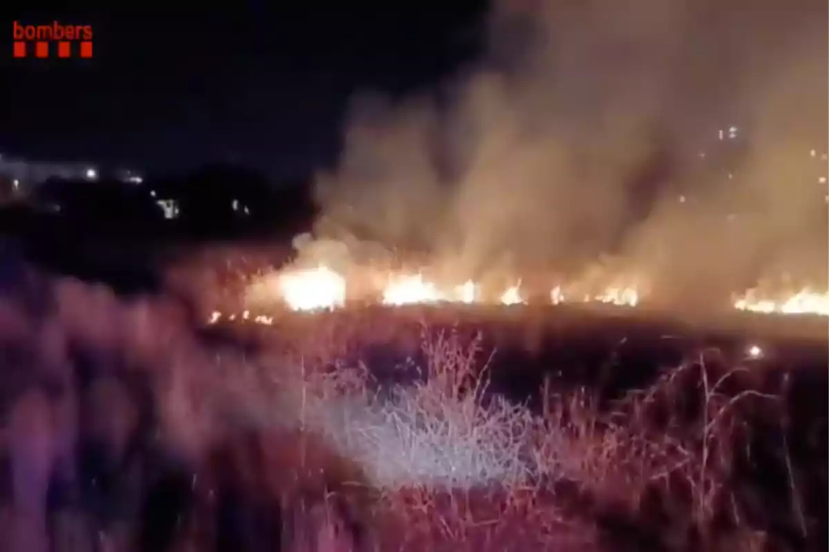 Incendi en un camp de pastura durant la nit amb fum dens i flames que s’estenen