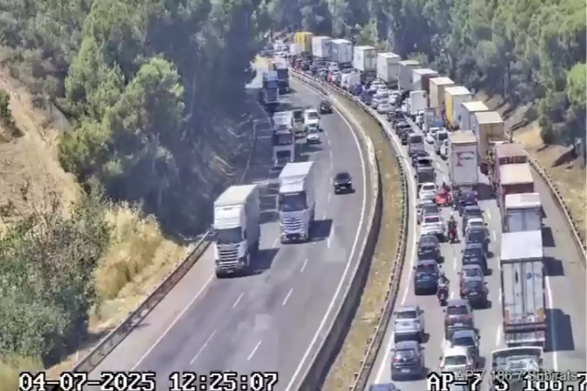 Trànsit dens amb nombrosos camions i cotxes en una autopista envoltada d’arbres, mentre el carril contrari està més lliure.
