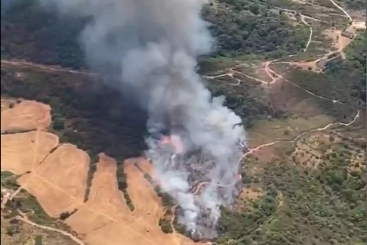 Incendio forestal visto desde el aire con humo denso elevándose sobre una zona de campo y vegetación Incendio forestal visto desde el aire con humo denso elevándose sobre una zona de campo y vegetación