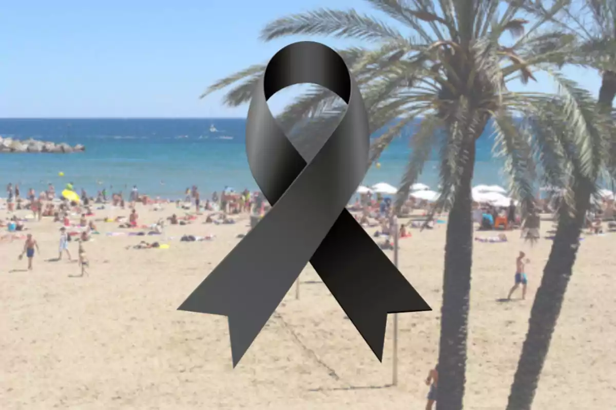 Llaç negre de dol sobre una platja amb palmeres i persones gaudint del mar