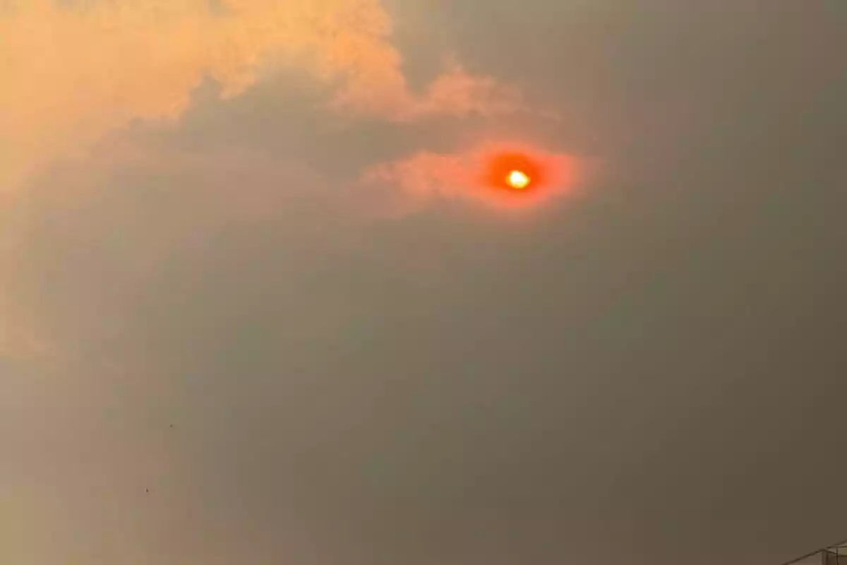 El sol es veu ataronjat i opac darrere d’una densa capa de fum al cel. El sol es veu ataronjat i opac darrere d’una densa capa de fum al cel.