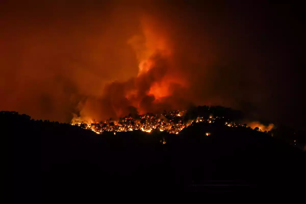 Imágenes del incendio de Paüls Imágenes del incendio de Paüls