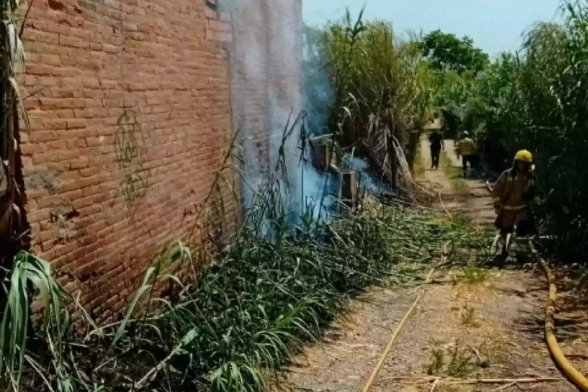 Un bomber apaga un incendi a la bardissa al costat d’una paret de maons mentre el fum s’eleva i altres persones caminen al fons del camí envoltat de vegetació.