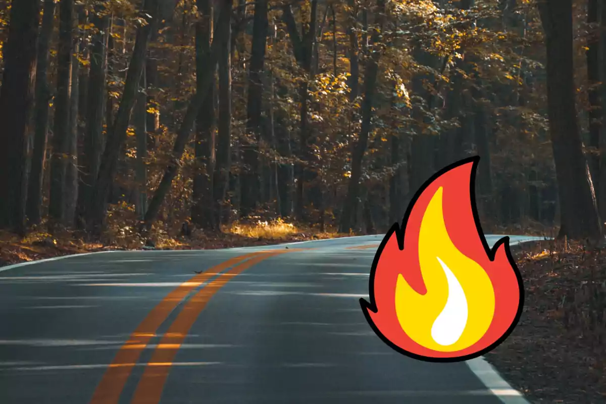 Incendio en carretera