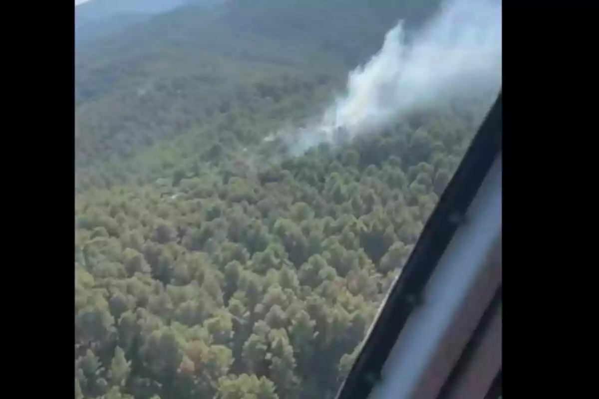 Vista aèria d’un incendi forestal al mig d’una zona boscosa amb fum que s’eleva entre els arbres Vista aèria d’un incendi forestal al mig d’una zona boscosa amb fum que s’eleva entre els arbres