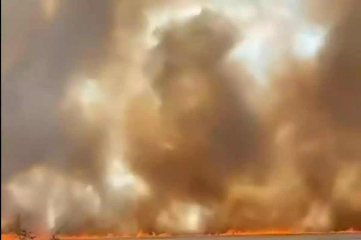 Incendi forestal amb grans columnes de fum i foc visible a terra