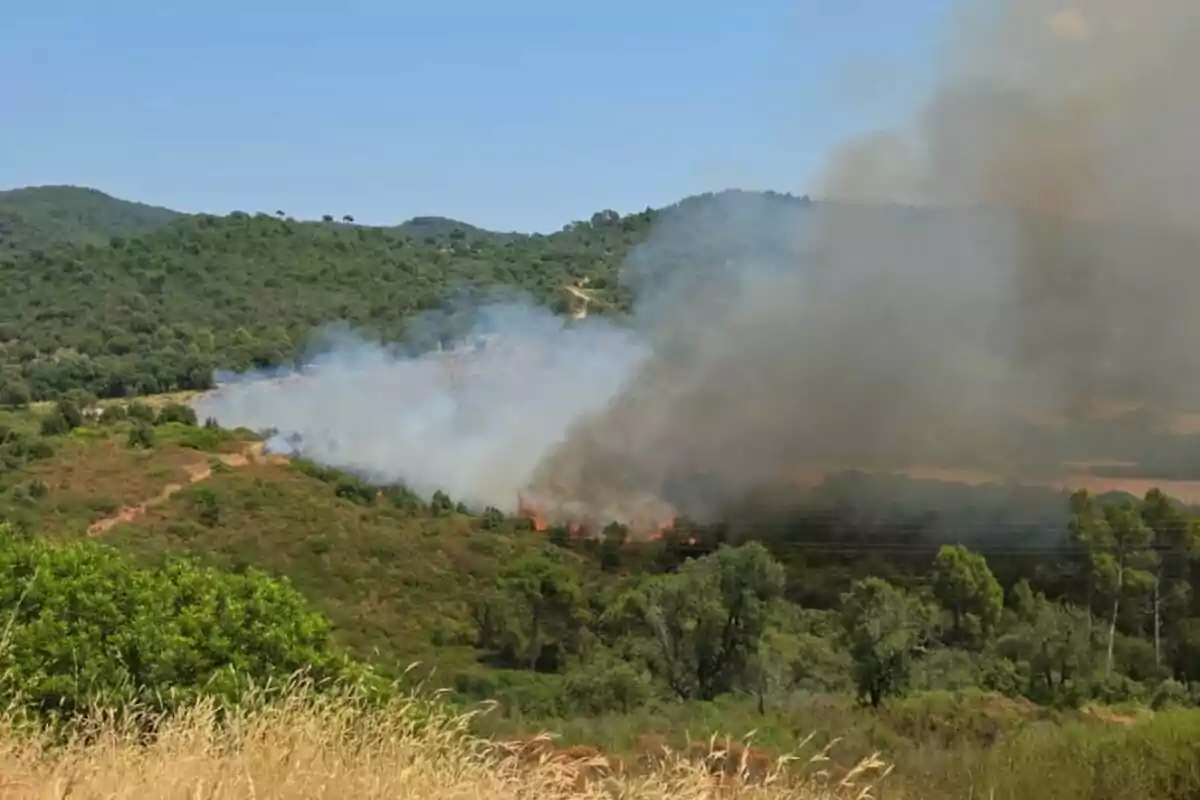 Incendio forestal en una zona de colinas verdes con humo denso elevándose hacia el cielo azul