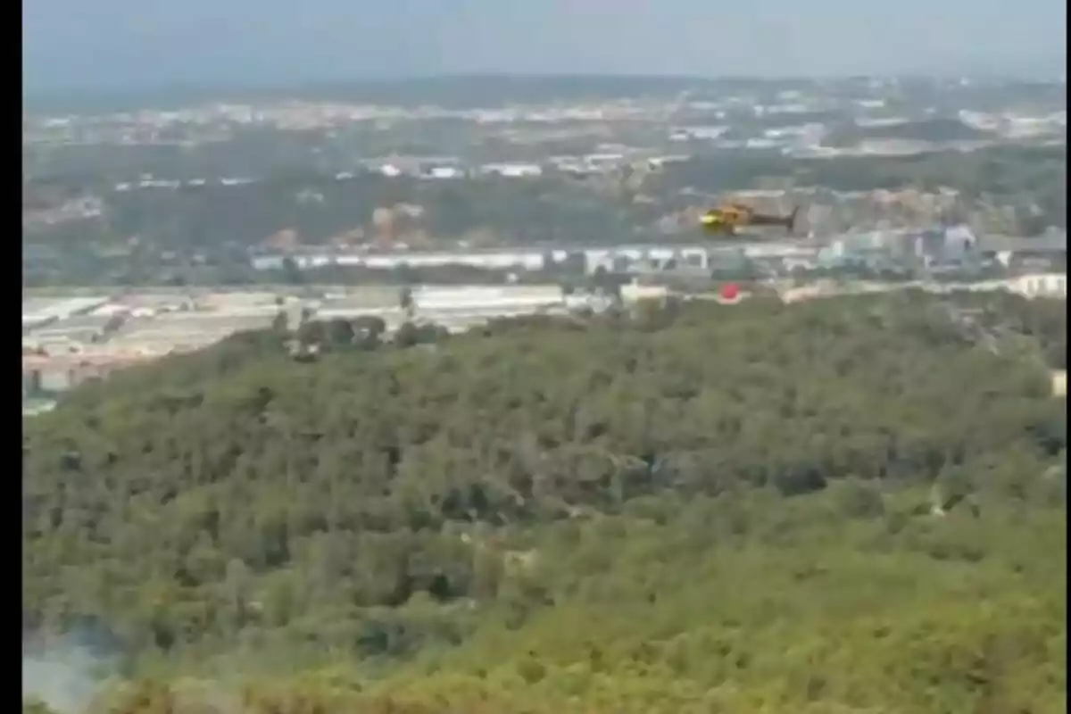 Helicóptero amarillo sobrevolando un área boscosa cerca de una ciudad