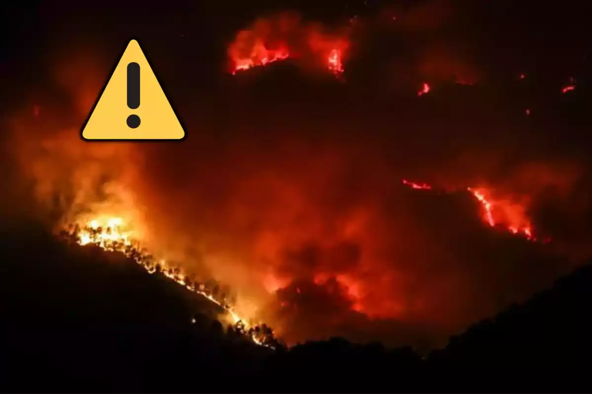 Incendio forestal de gran magnitud en Paüls Incendio forestal de gran magnitud en Paüls