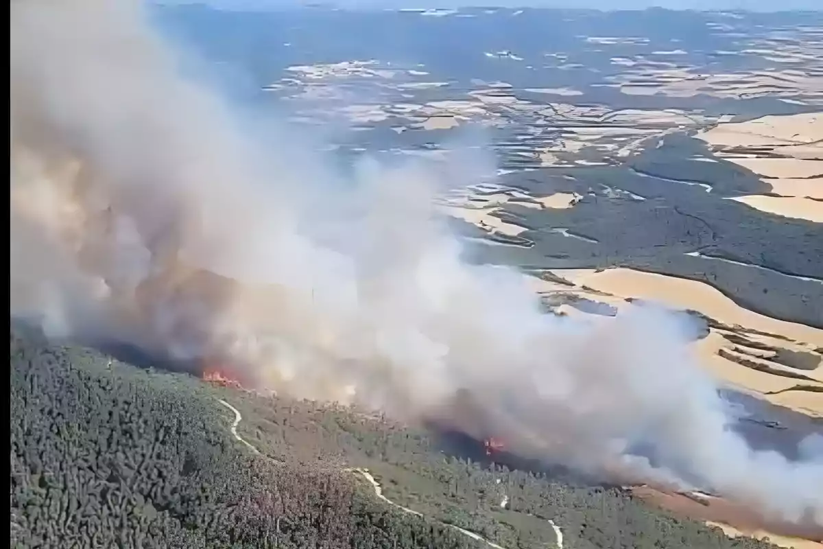 Incendi forestal en una zona muntanyosa amb grans columnes de fum elevant-se i camps agrícoles al fons