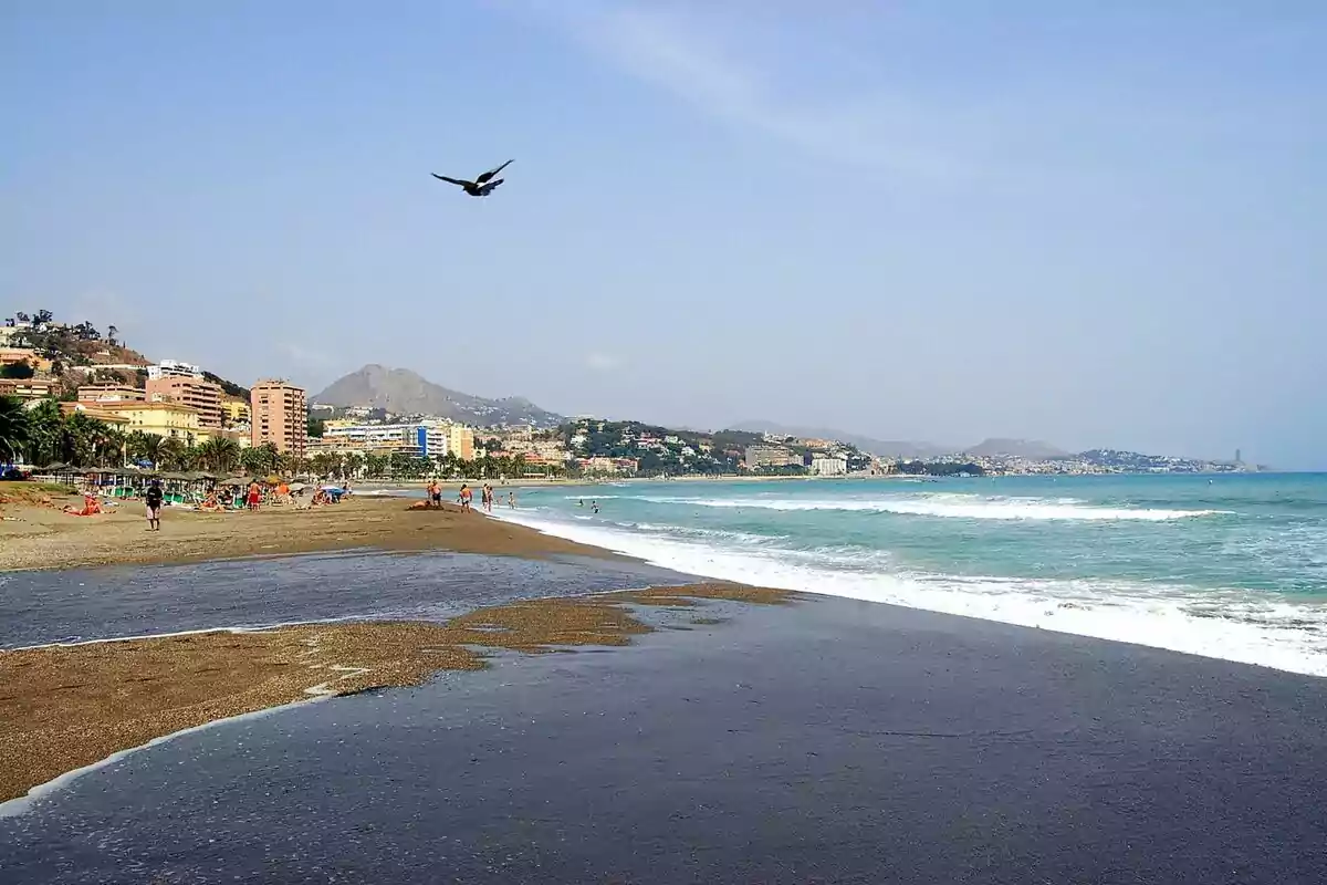 Platja amb sorra fosca, persones gaudint del mar, edificis i muntanyes al fons i un ocell volant pel cel serè Platja amb sorra fosca, persones gaudint del mar, edificis i muntanyes al fons i un ocell volant pel cel serè