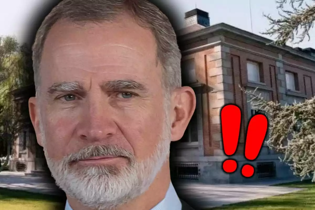 Primer plano del rey Felipe de Borbón con expresión seria frente a un edificio de ladrillo y dos signos de exclamación rojos.