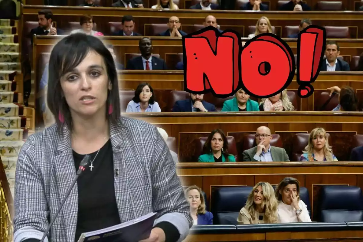 Dona parlant en un micròfon en un parlament amb la paraula NO en gran sobre els seients plens de persones