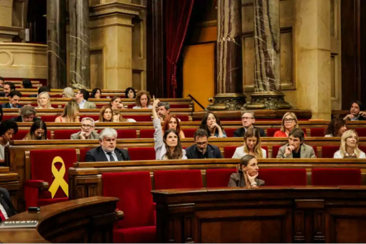 Persones assegudes en un hemicicle amb bancs vermells i una dona aixecant la mà al centre Persones assegudes en un hemicicle amb bancs vermells i una dona aixecant la mà al centre