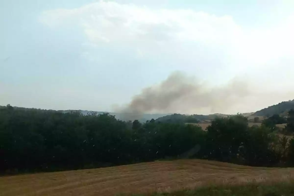 Humo negro elevándose desde una zona boscosa y campos de cultivo bajo un cielo parcialmente nublado