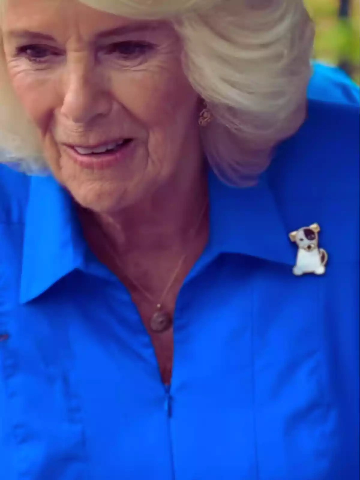 Mujer de cabello rubio y corto con blusa azul y un broche en forma de perro en la solapa Mujer de cabello rubio y corto con blusa azul y un broche en forma de perro en la solapa