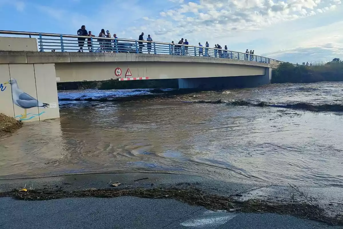 Personas observan desde un puente el desbordamiento de un río que cubre parcialmente la carretera, con un mural de una gaviota visible en el pilar del puente. Personas observan desde un puente el desbordamiento de un río que cubre parcialmente la carretera, con un mural de una gaviota visible en el pilar del puente.