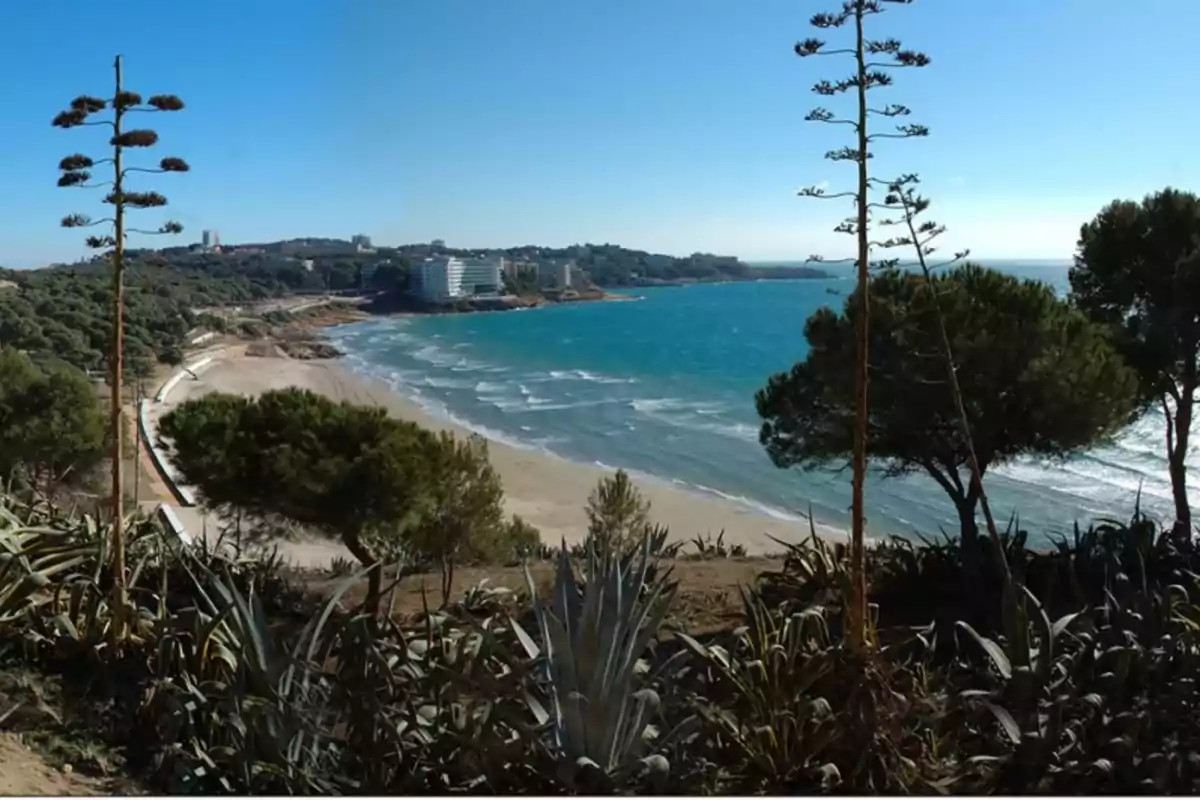 Vista panoràmica d’una platja amb sorra daurada, mar blau i vegetació en primer pla, edificis al fons i cel serè Vista panoràmica d’una platja amb sorra daurada, mar blau i vegetació en primer pla, edificis al fons i cel serè