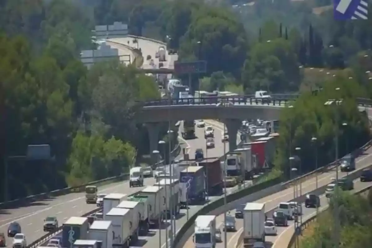 Trànsit dens amb nombrosos camions i cotxes en una autopista envoltada d’arbres i un pont elevat que creua per sobre la carretera.