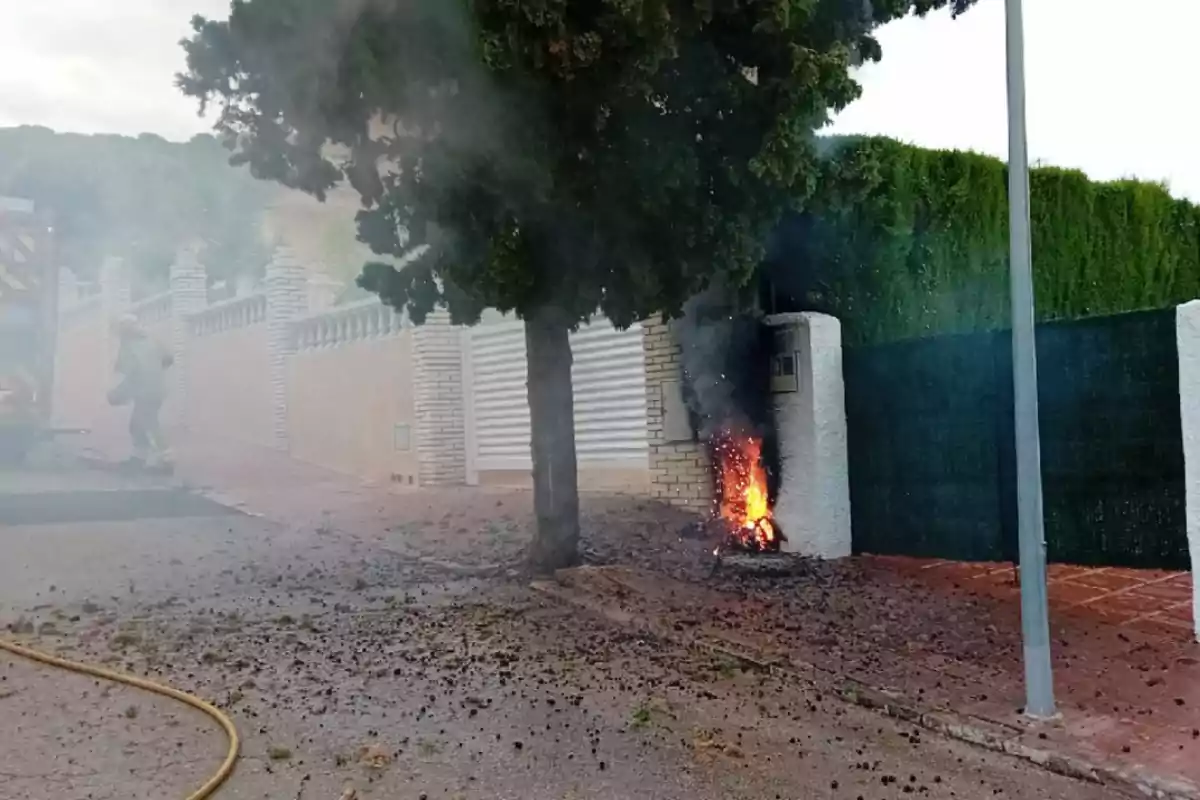 Incendi a la base d’un arbre al costat d’una vorera residencial amb un bomber i una mànega a prop