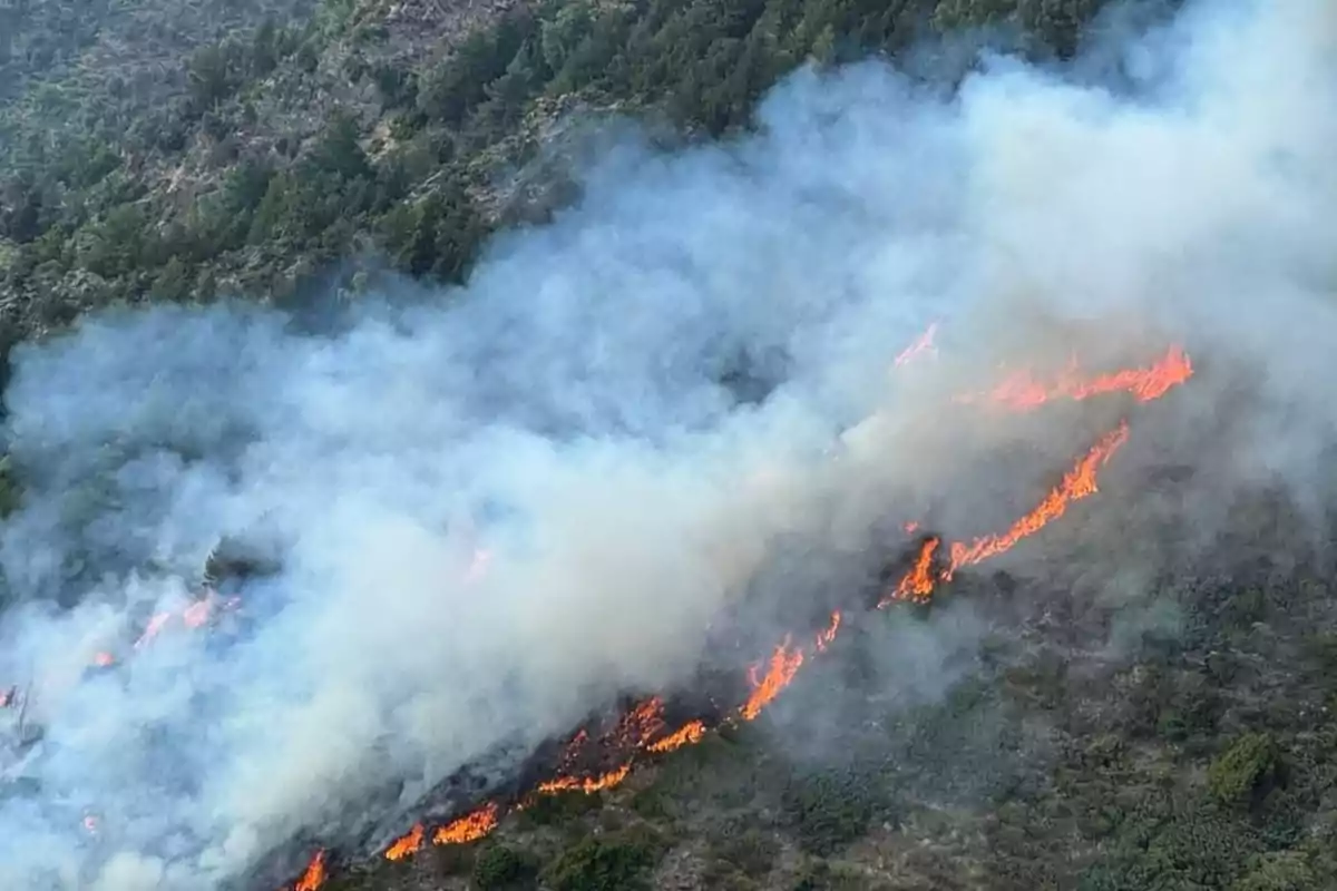 Incendio forestal en una zona montañosa con humo denso y llamas extendiéndose entre la vegetación