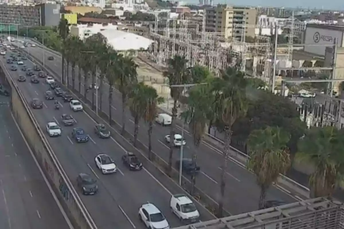 Vista aèria d’una avinguda amb diversos carrils de trànsit i palmeres al separador central, envoltada d’edificis i estructures urbanes.
