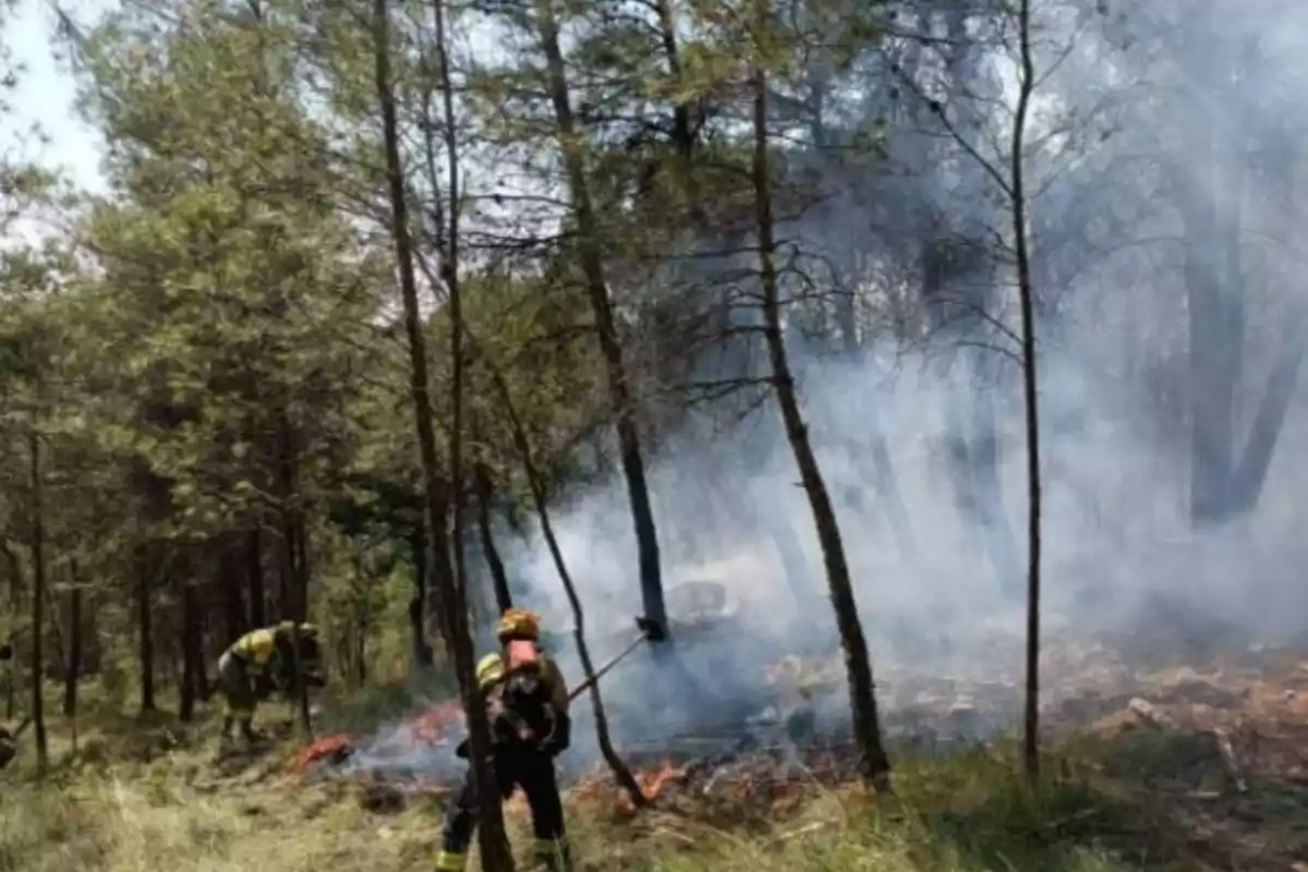 Bomberos combatiendo un incendio forestal entre árboles y humo en un bosque