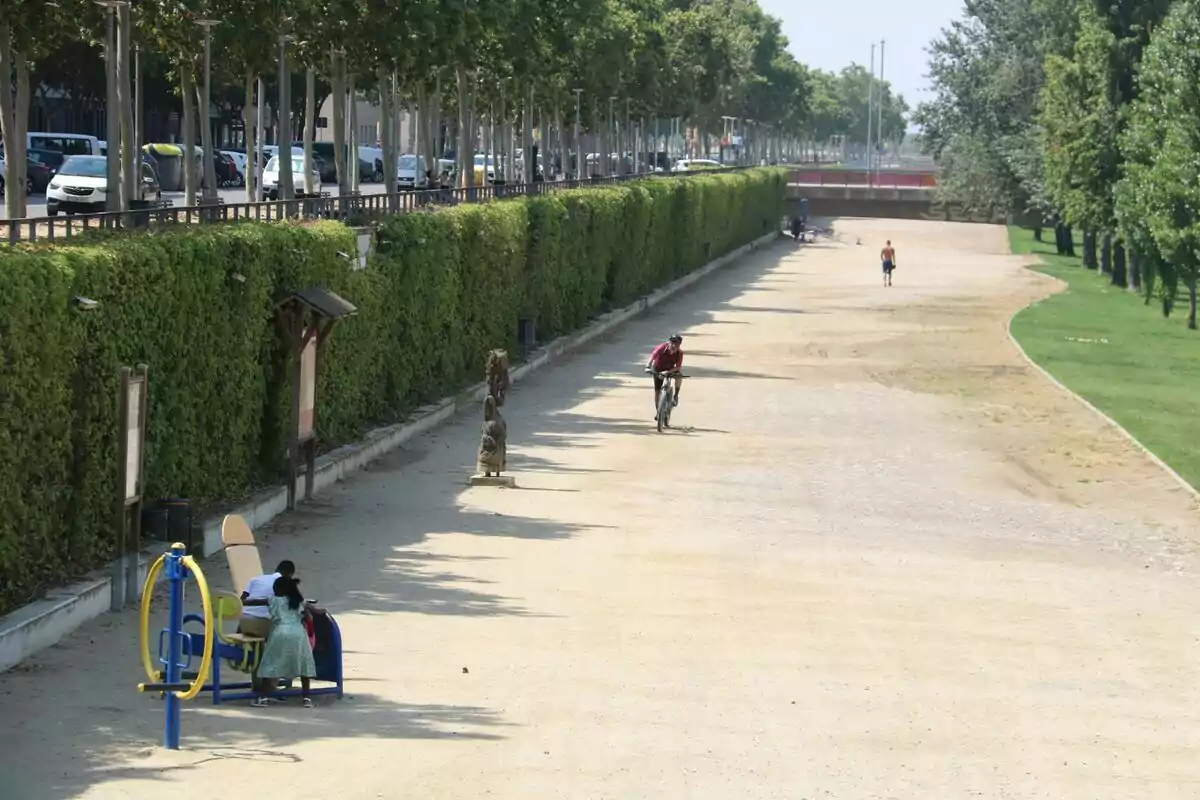 Un camino amplio de tierra junto a una fila de árboles y setos donde una persona anda en bicicleta y dos niños juegan en un aparato de ejercicio al aire libre Un camino amplio de tierra junto a una fila de árboles y setos donde una persona anda en bicicleta y dos niños juegan en un aparato de ejercicio al aire libre