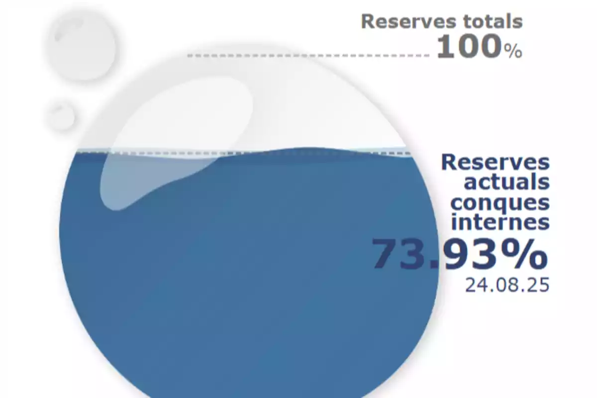 Gràfic circular que mostra el nivell de reserves d’aigua al 73,93 per cent respecte al total, amb la data 24.08.25 i text en català Gràfic circular que mostra el nivell de reserves d’aigua al 73,93 per cent respecte al total, amb la data 24.08.25 i text en català