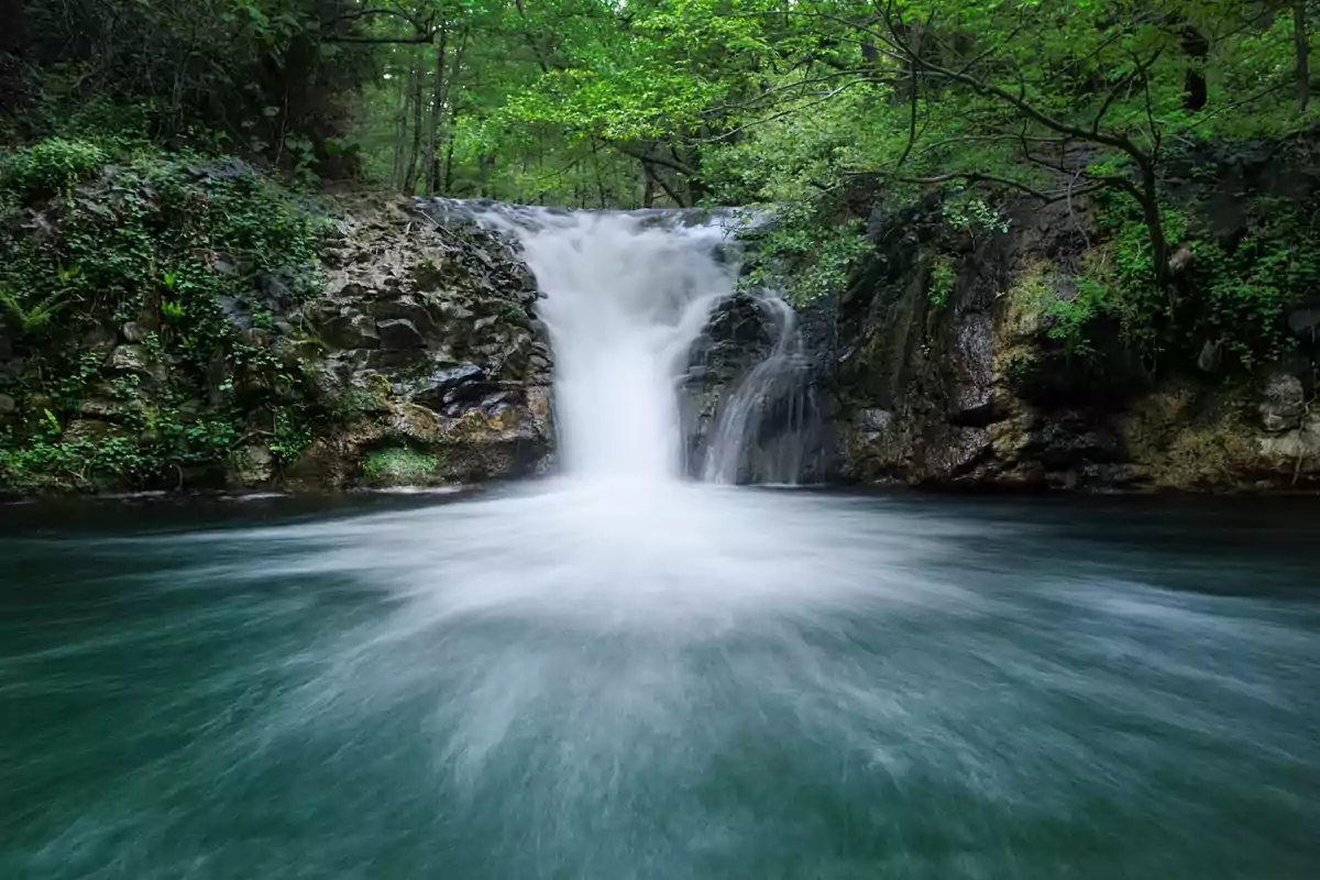 Cascada envoltada de vegetació i roques amb aigua fluint cap a una bassa tranquil·la Cascada envoltada de vegetació i roques amb aigua fluint cap a una bassa tranquil·la