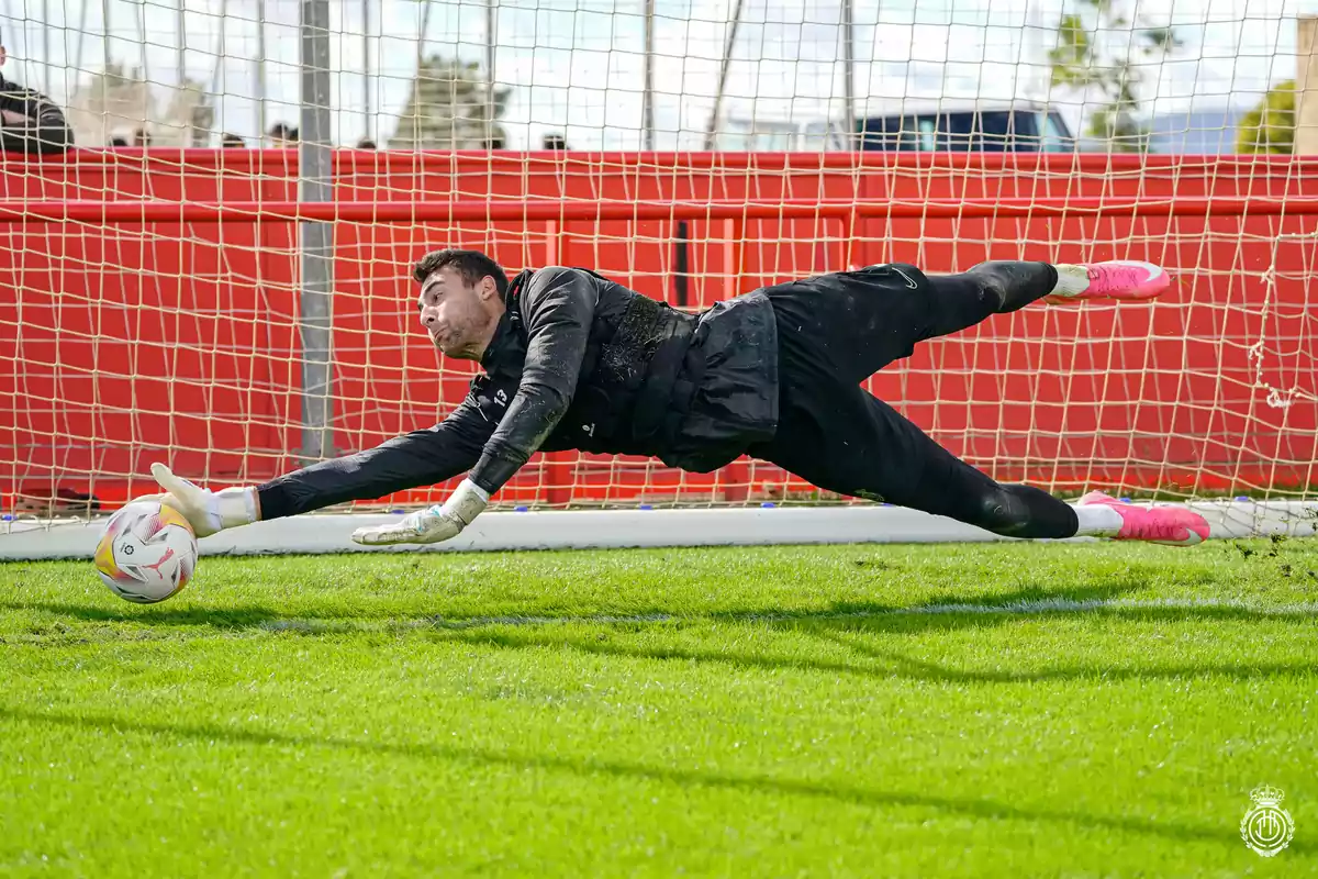 Greif en un entrenamiento Greif en un entrenamiento