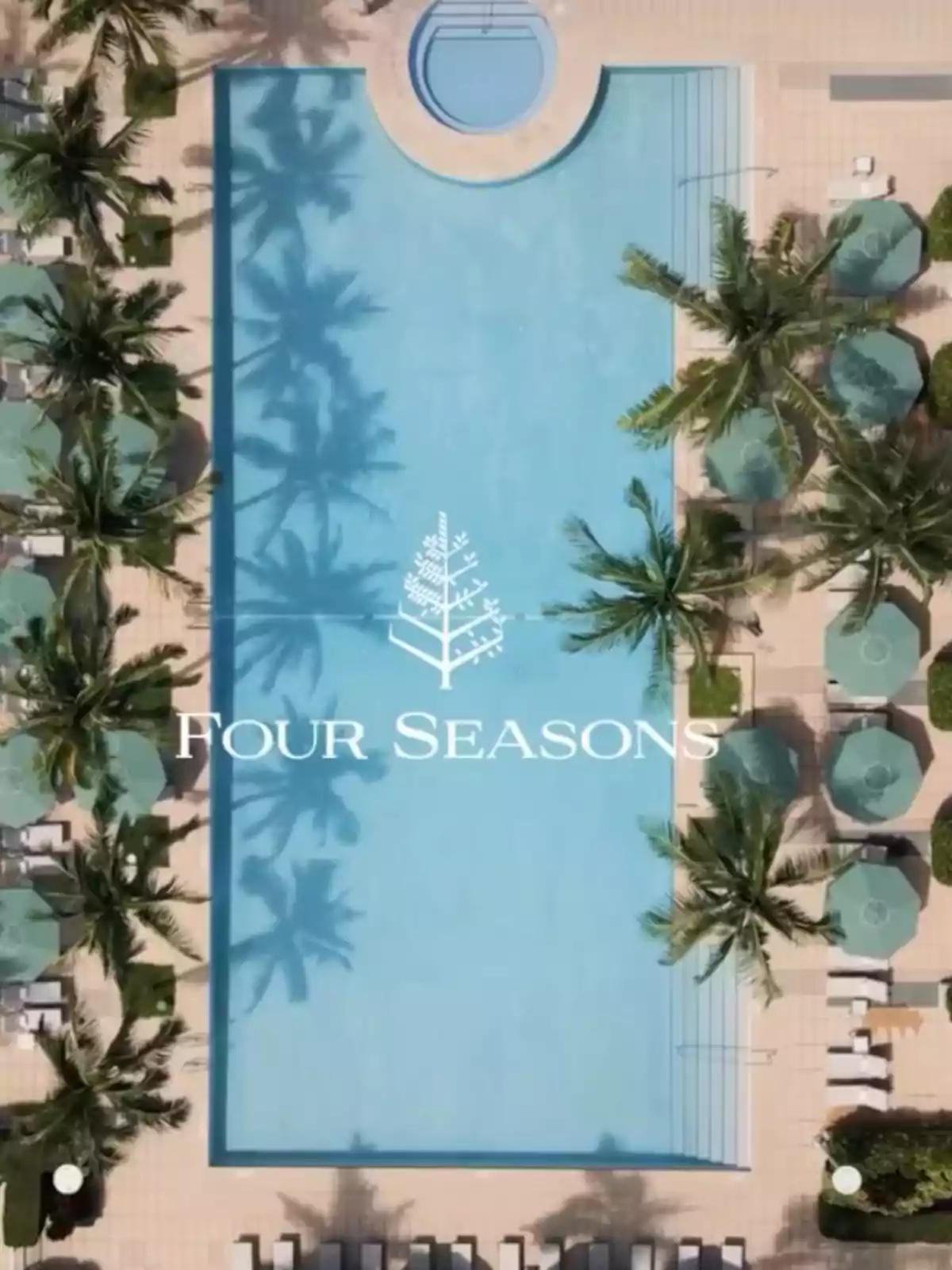 Vista aérea de una piscina rectangular rodeada de palmeras y camastros con sombrillas verdes, con el logo de Four Seasons en el centro