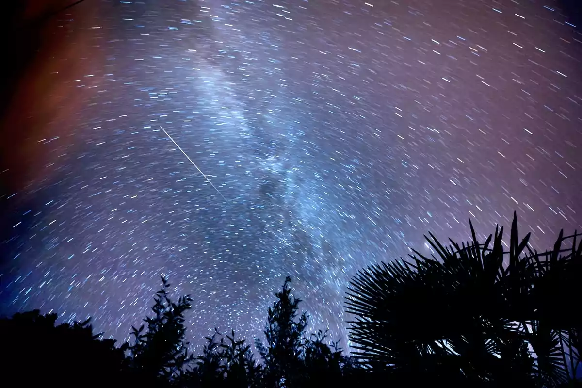 Cielo nocturno estrellado con una lluvia de meteoros y siluetas de plantas en primer plano Cielo nocturno estrellado con una lluvia de meteoros y siluetas de plantas en primer plano