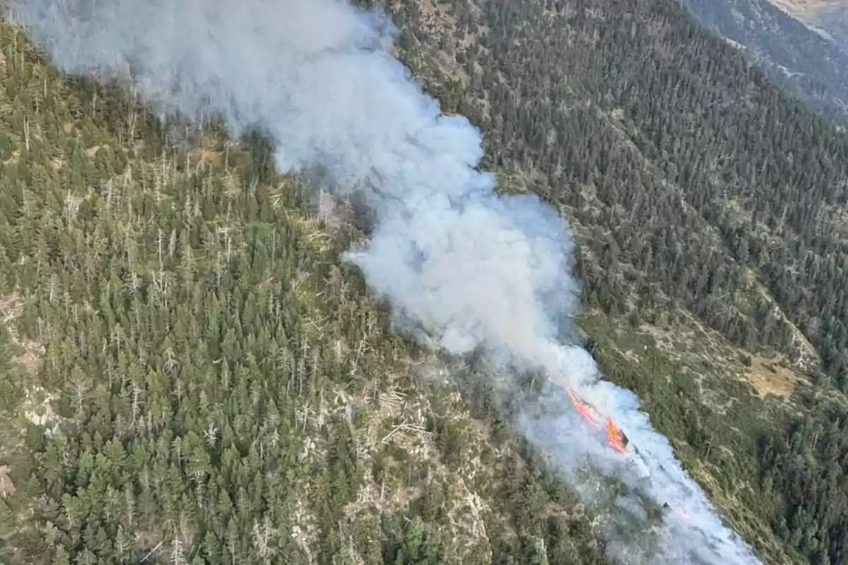 Incendio forestal en una zona montañosa con humo denso elevándose entre los árboles Incendio forestal en una zona montañosa con humo denso elevándose entre los árboles